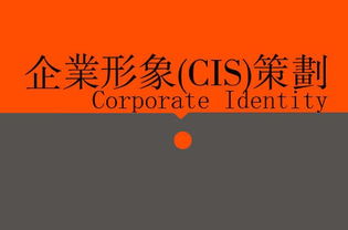 廣告、營銷、品牌與企業(yè)策劃 戰(zhàn)略協(xié)同下的廣告設(shè)計(jì)核心